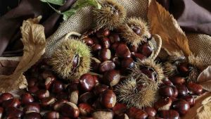 castagne