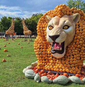 una delle strutture al parco delle zucche di campi