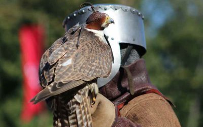 Rievocazione storica al Castello: Calenzano 1325