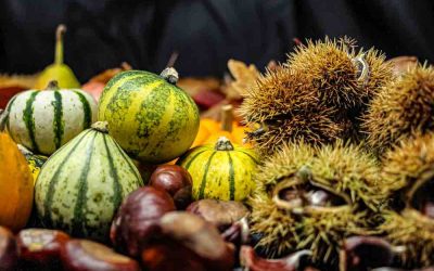 Sapori d’autunno a Signa