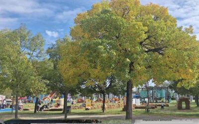 Il Regno delle zucche e della paglia al Parco di Villa Montalvo a Campi Bisenzio