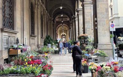 Cosa fare questo fine settimana a Firenze | 10-11 ottobre 2026